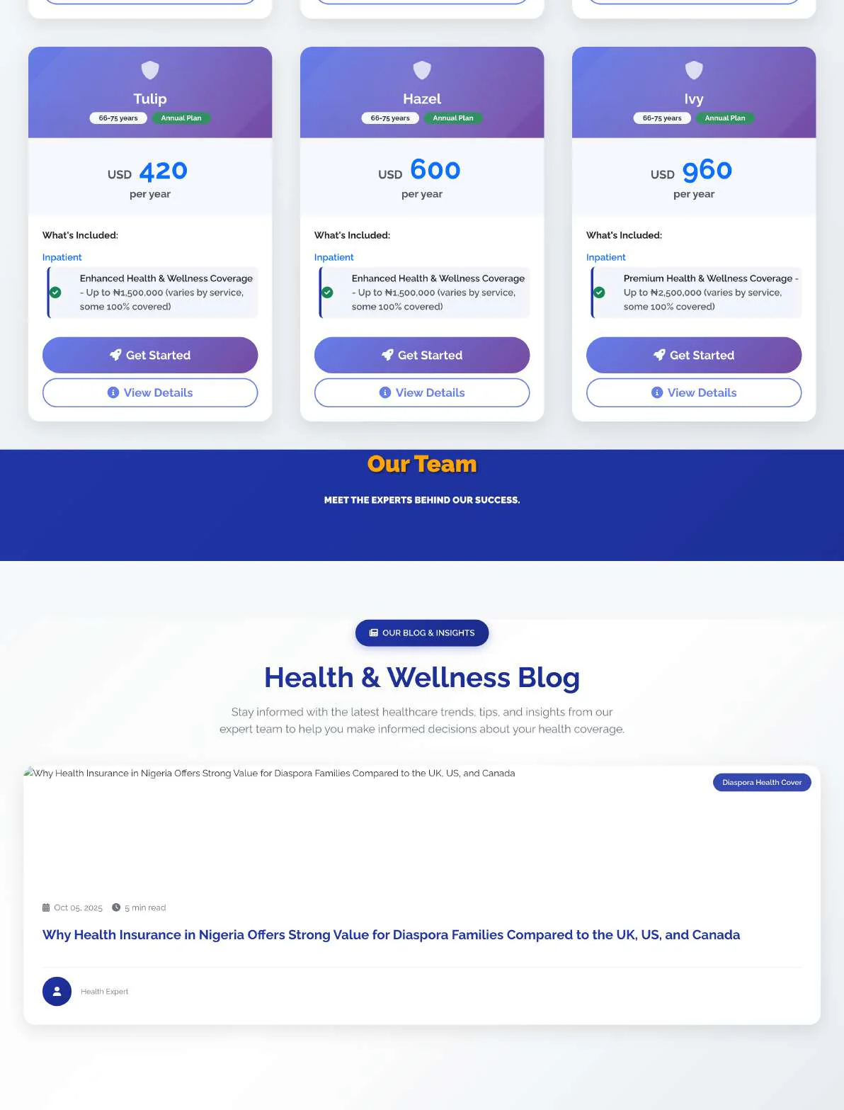 Diaspora Health Cover — original pricing cards, team band, and blog